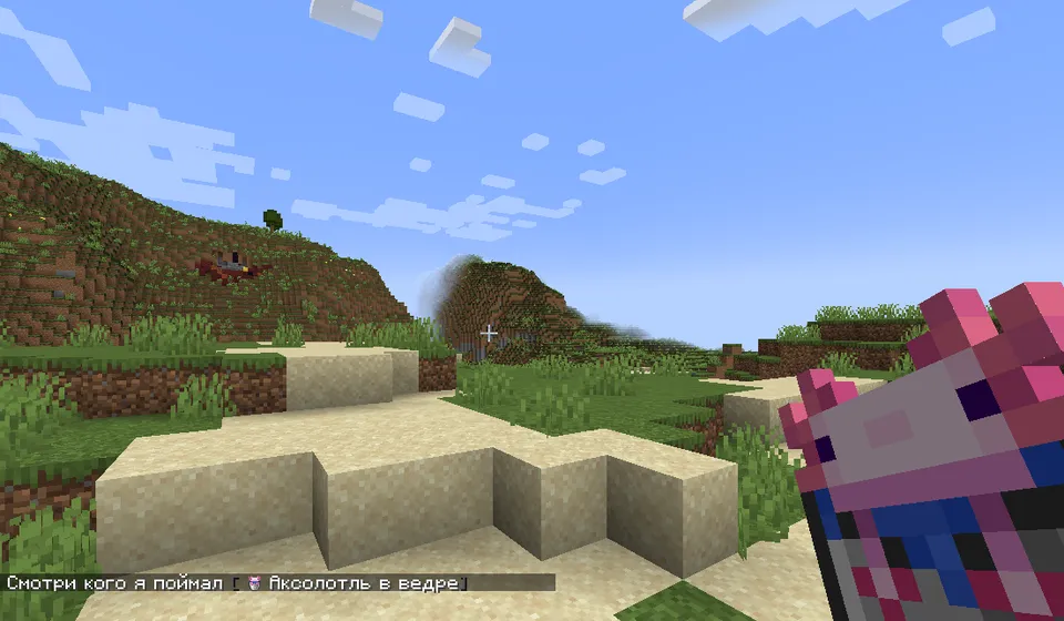 Display That! — Minecraft mod, rasm 2