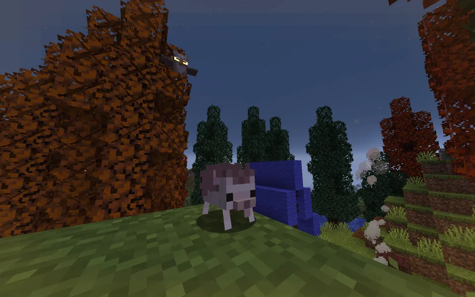 Chocco's Cozy Campers — Minecraft mod, rasm 4