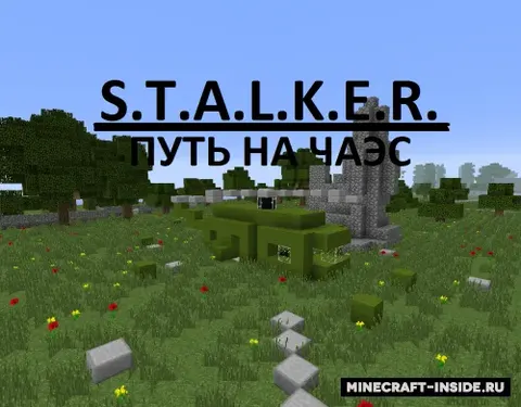 STALKER: ChAES'ga yo'l