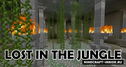 Lost in the Jungle