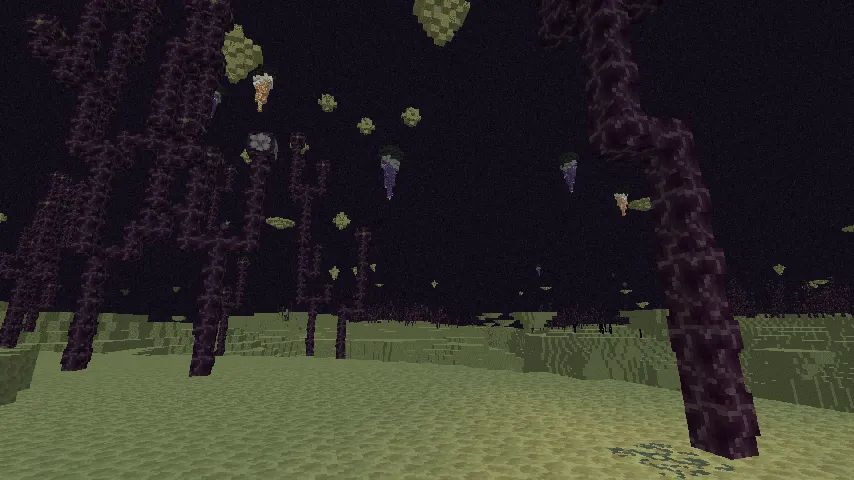 Enditions — Minecraft mod, rasm 2