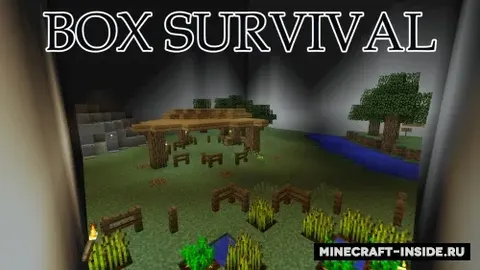 Box Survival
