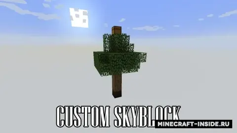 Custom SkyBlock