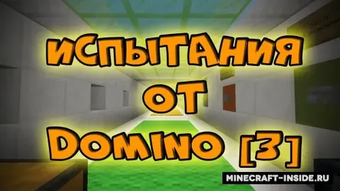 Domino 3 sinovlari
