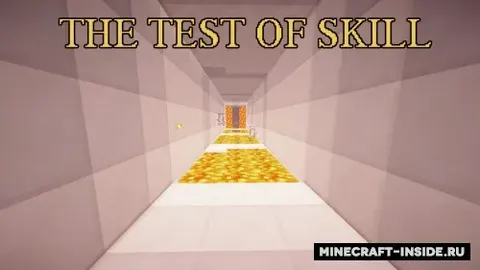 The Test of Skill