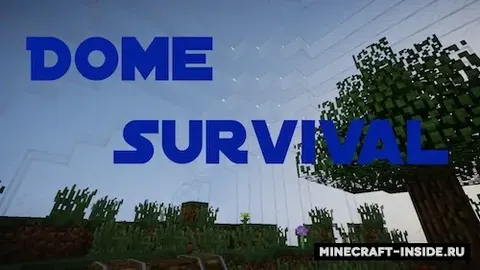 Dome Survival
