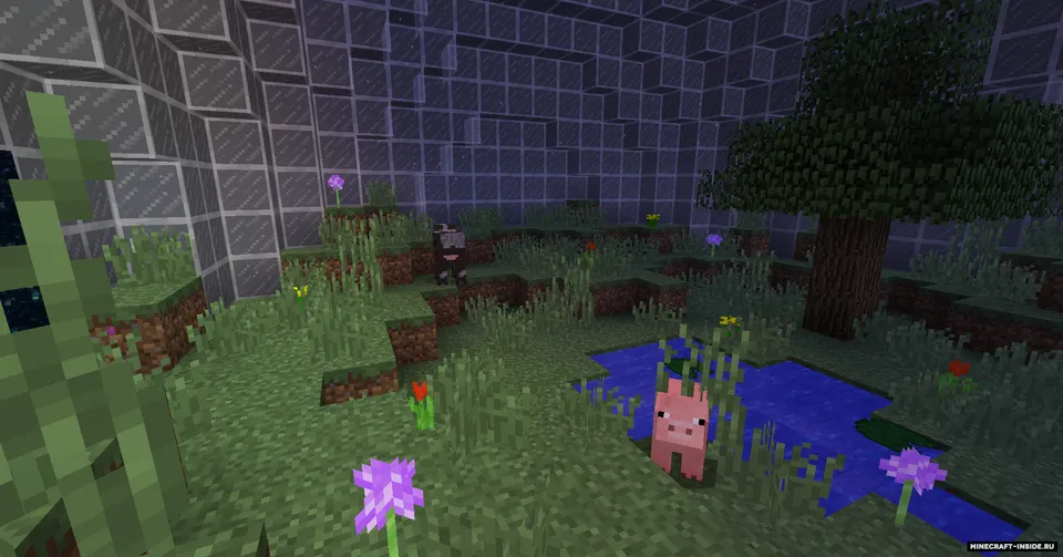 Dome Survival — Minecraft xarita, rasm 4