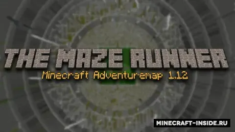 The Maze Runner