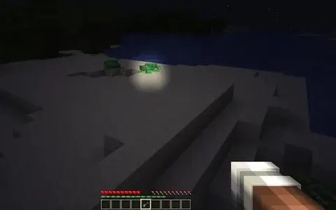 Light The Way