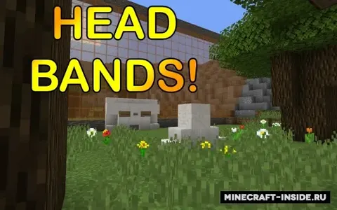Head Bands!