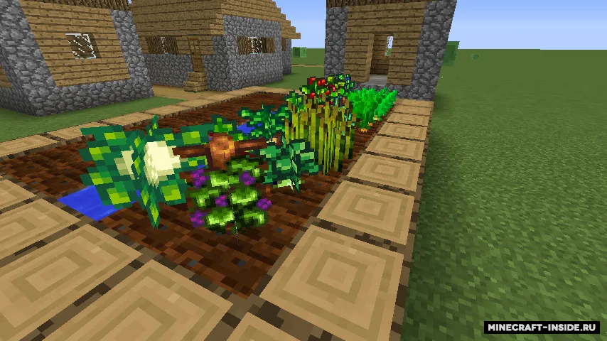 Star Crop — Minecraft mod, rasm 4