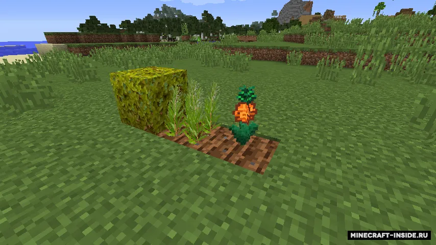 Star Crop — Minecraft mod, rasm 8