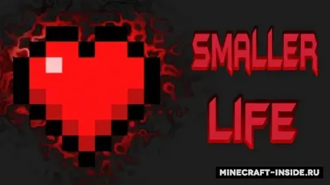 Smaller Life