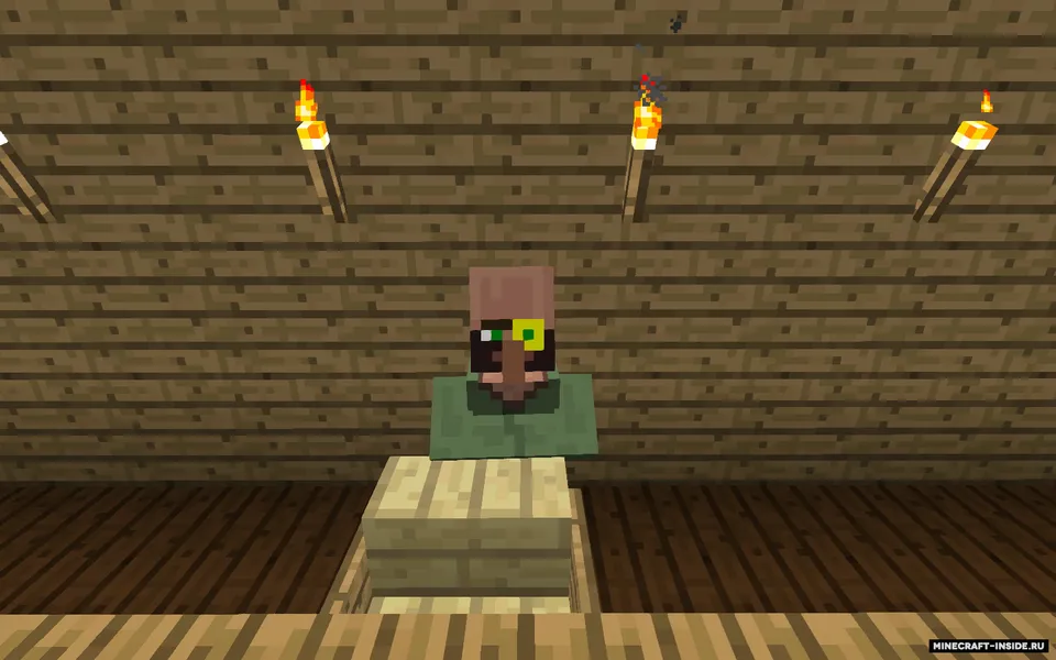 Dr. Fletcher: Potion Mission — Minecraft xarita, rasm 4