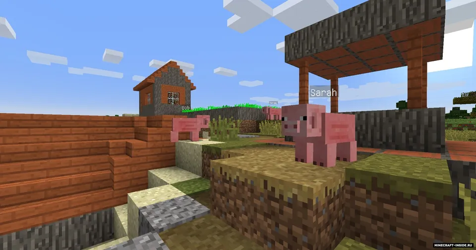 The Insane Man — Minecraft xarita, rasm 2