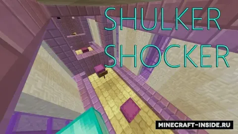 Shulker Shocker