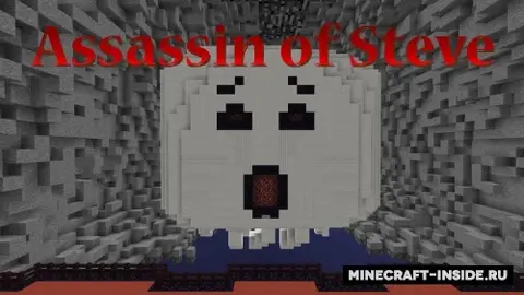 Assassin of Steve