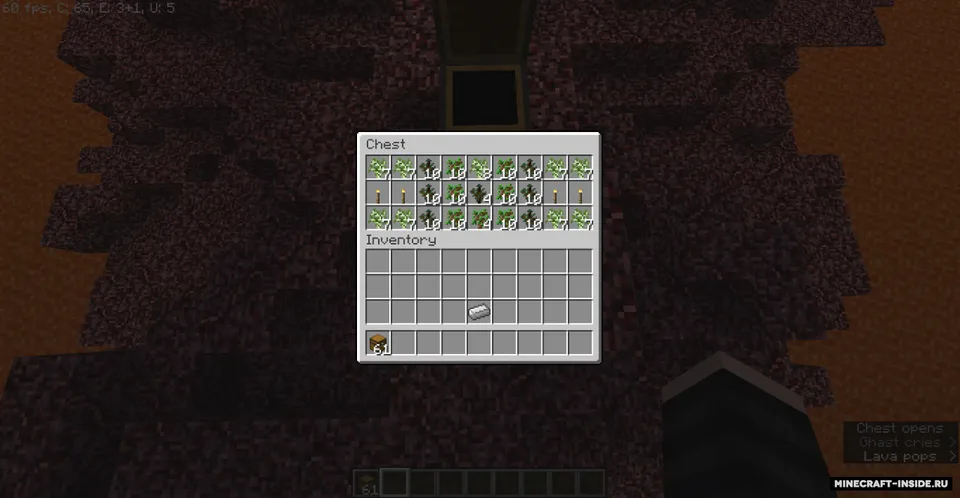 The world of weird — Minecraft xarita, rasm 7