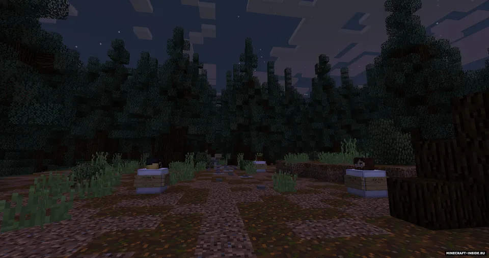 The Witch — Minecraft xarita, rasm 6