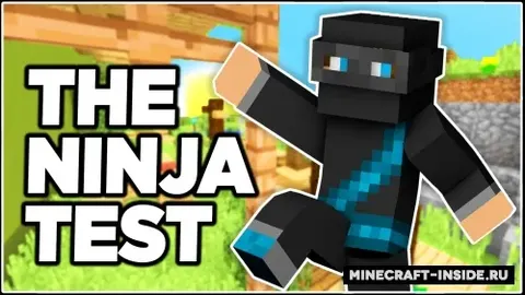 Are You A Ninja? 3