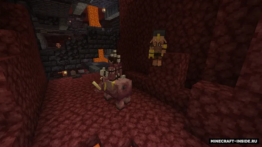 Bagus Mob — Minecraft mod, rasm 3
