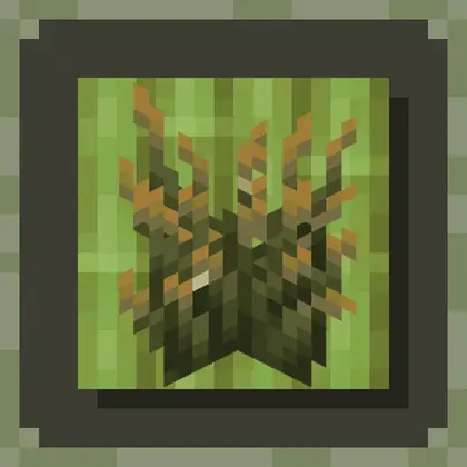 Firefly Bush