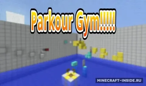 The Gym