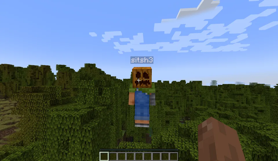 Player Locator Plus — Minecraft mod, rasm 3