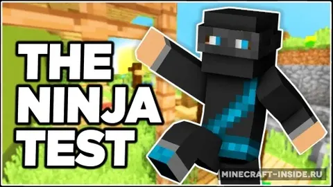 Are You a Ninja 2