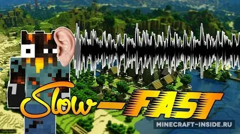 Slow-Fast