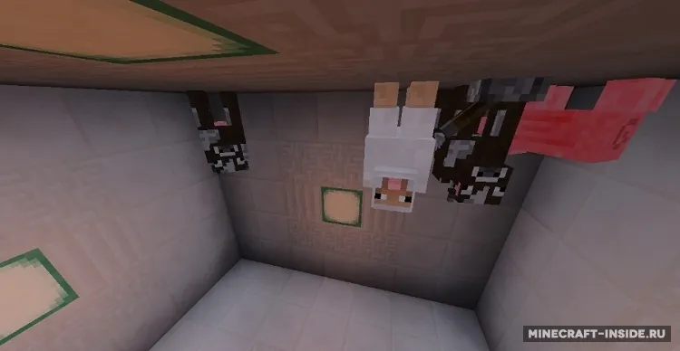 What? — Minecraft xarita, rasm 3