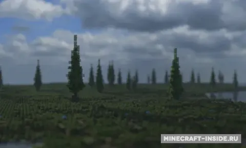Barella's Swamp