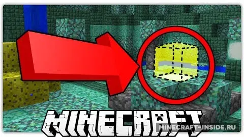 Insert the Cube