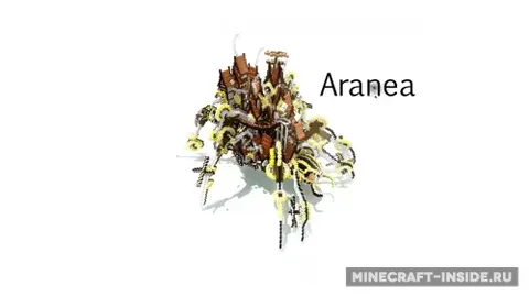 Aranea