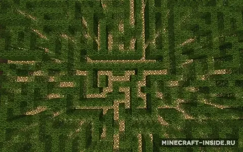 Leaf Maze