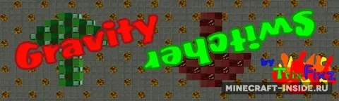 Gravity Switcher