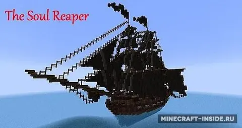The Soul Reaper