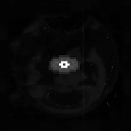 Bendy's Music Discs