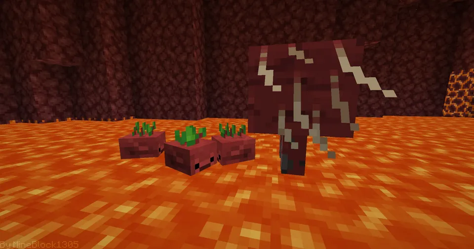Lavomerka lavlagi — Minecraft resurs pak, rasm 4