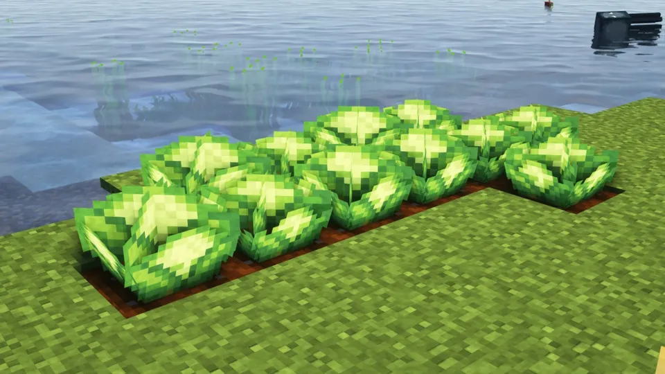 Fancy Crops — Minecraft resurs pak, rasm 6