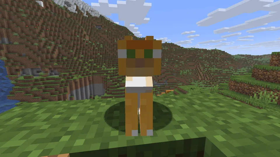 Rangli mushuklar tekstur-paki — Minecraft resurs pak, rasm 2