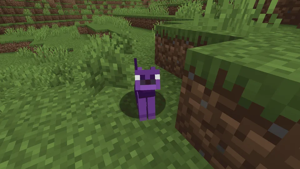 Rangli mushuklar tekstur-paki — Minecraft resurs pak, rasm 5