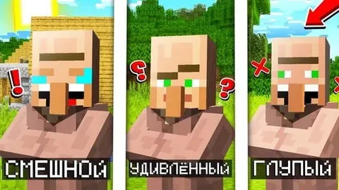 The emotions of the villagers