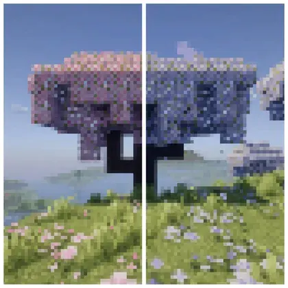 Blueberry Grove