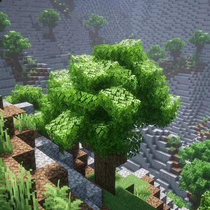 Cubic Leaves