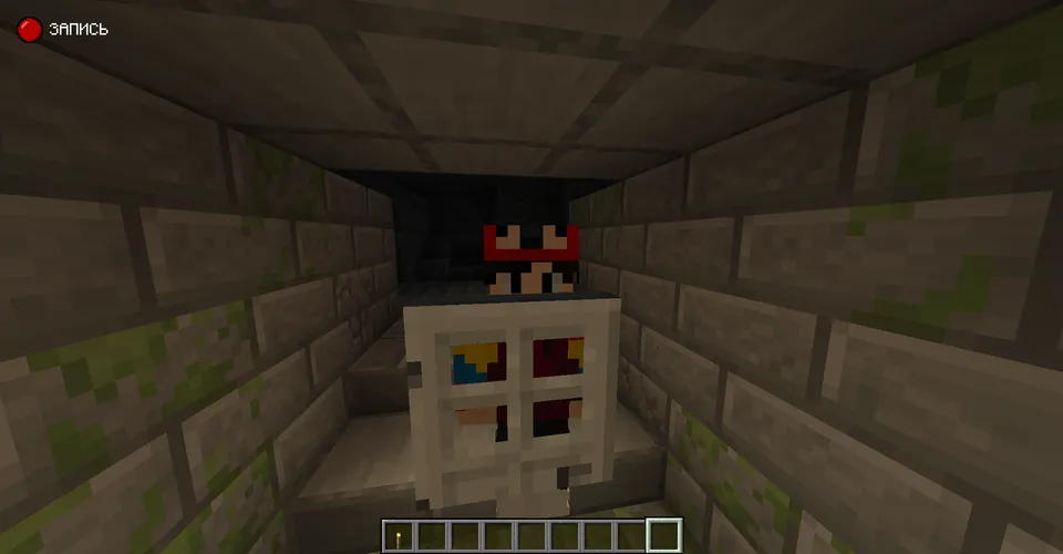 Stolen blocks — Minecraft mod, rasm 4