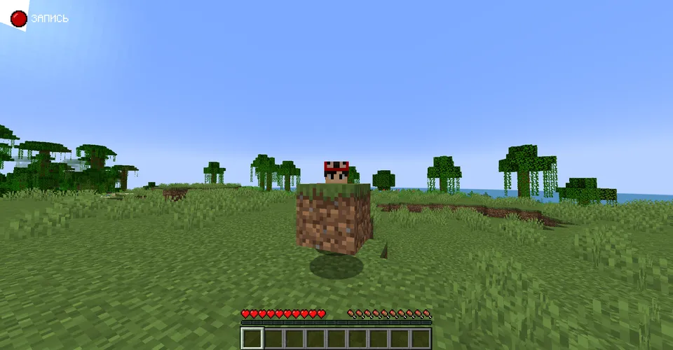 Stolen blocks — Minecraft mod, rasm 6