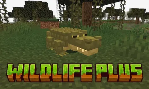 Wildlife Plus