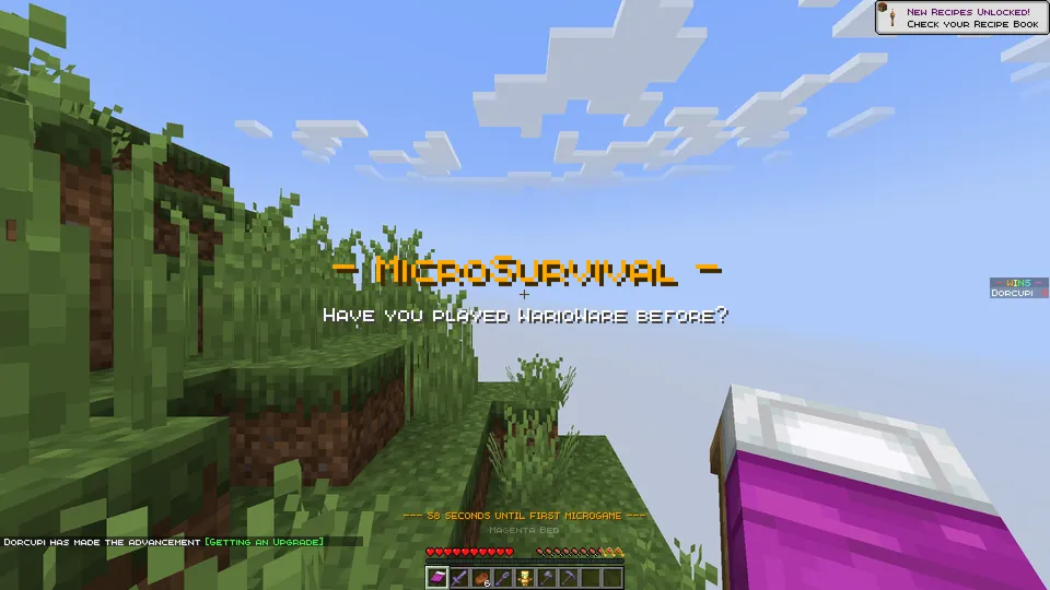 MicroSurvival — Minecraft mod, rasm 6