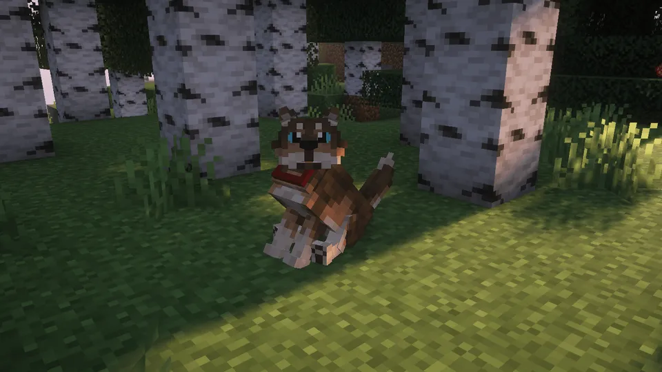 Wild Wolves — Minecraft resurs pak, rasm 4